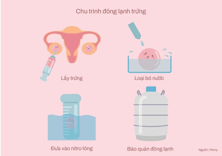 Tại sao ngày càng nhiều phụ nữ lựa chọn đông lạnh trứng? - Ảnh 1.