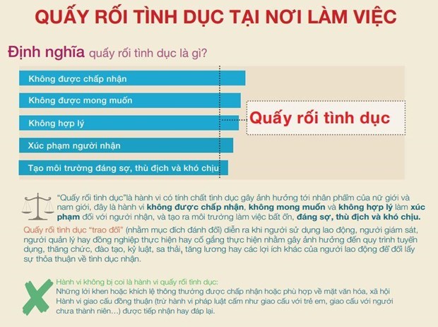   Định nghĩa về hành vi quấy rối tình dục tại nơi làm việc. (Ảnh: PV/Vietnam+)  