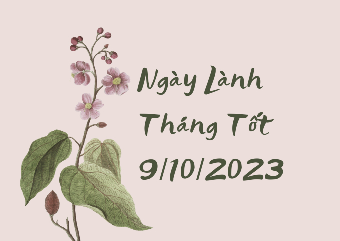 Xem ngày lành tháng tốt 9/10/2023: Mọi thứ đều suôn sẻ, dù gặp việc dữ cũng hóa lành!