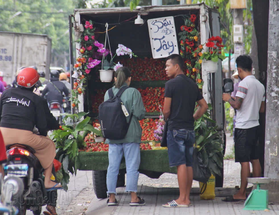   Dâu tây Mộc Châu đầu mùa giá cao gấp đôi ngày thường, thu hút được sự chú ý của nhiều người  