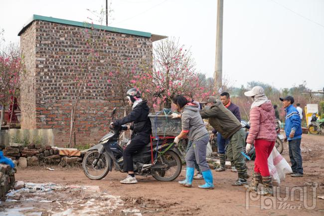 Không khí nhộn nhịp, đông đúc lao động hăng say dưới tiết trời lạnh buốt