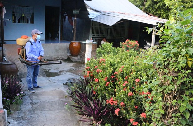 Lực lượng y tế phun thuốc khử trùng, diện lăng quang, bọ gậy để phòng bệnh sốt xuất huyết. Ảnh: TTXVN