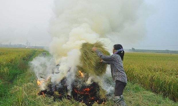 Chỉ  riêng đồng bằng sông Hồng, mỗi năm thải 1,2-4,7 triệu tấn CO2 do đốt rơm rạ