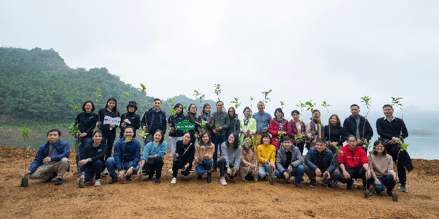 “Ngân hàng cây xanh” TreeBank và câu chuyện lạ: Không cần đất cũng có thể trồng rừng