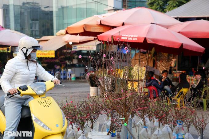 Ngày mùng 1 tháng Chạp, nhiều khách mua đào để thắp hương, trang trí ban thờ, phòng khách chuẩn bị đón Tết đến xuân về.