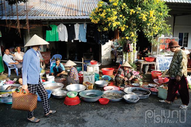 Dân dã chợ quê.