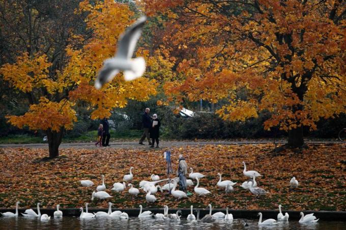 Cảnh đẹp ở Landwehr, huyện Kreuzberg, Đức. Ảnh: AFP.