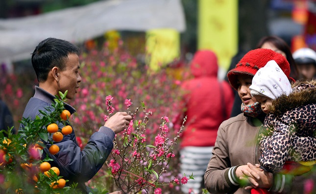 Dự báo Tết Nguyên đán Canh Tý 2020 sẽ đón rét đậm