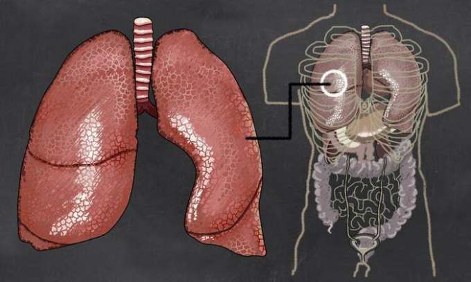 5 thực phẩm càng ăn càng nhanh già lại là món khoái khẩu của nhiều người