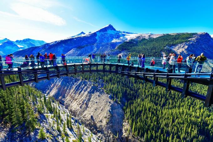   Cầu kính Glacier Skywalk, Alberta, Canada chiều dài gần 400 m và ở độ cao 280 m so với thung lũng Sunwapta. Toàn bộ sàn đều là kính để giúp du khách ngắm cảnh và tham quan cảnh vật.   