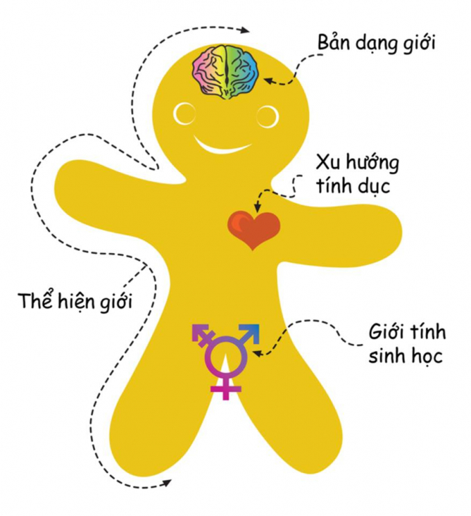 Giới và tính dục của con người