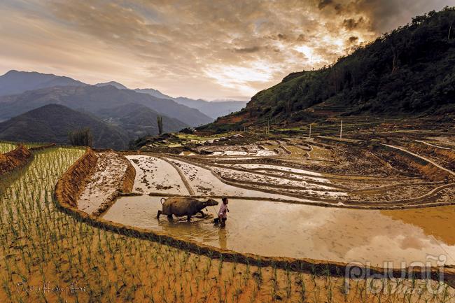 Chiêm ngưỡng vẻ đẹp huyền ảo của Y Tý mùa đổ nước