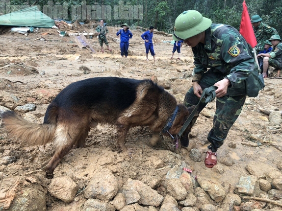 Chó nghiệp vụ tham gia tìm kiếm người mất tích