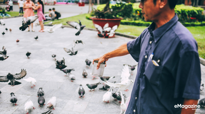 Ngày ngày anh Cường cũng cho chim bồ câu ăn và chăm sóc chúng ở đây, hơn 12 năm rồi.