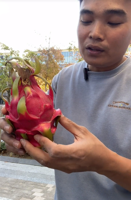 Dạo quanh một vòng xem trái thanh long bày trên kệ siêu thị nước ngoài: Giá cao ngất vì phải nhập khẩu, có nơi 315.000 VNĐ/quả