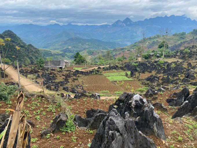 Những lao động chưa thành niên trong bài đều đến từ các địa phương miền núi, giáp biên, đời sống khó khăn 