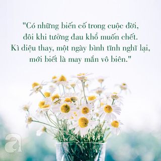 Tử vi hàng ngày 8/2/2020 của 12 cung hoàng đạo: Bọ Cạp mâu thuẫn trong tình cảm, Song Ngư chú ý sức khỏe