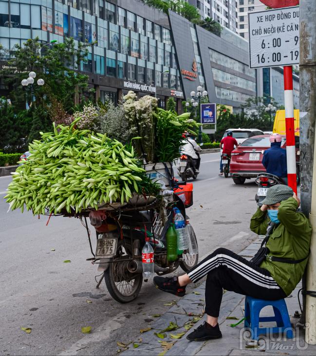 Thời điểm hiện tại hoa loa kèn hoa của tháng 4 đang là tâm điểm bày bán nhiều nhất.