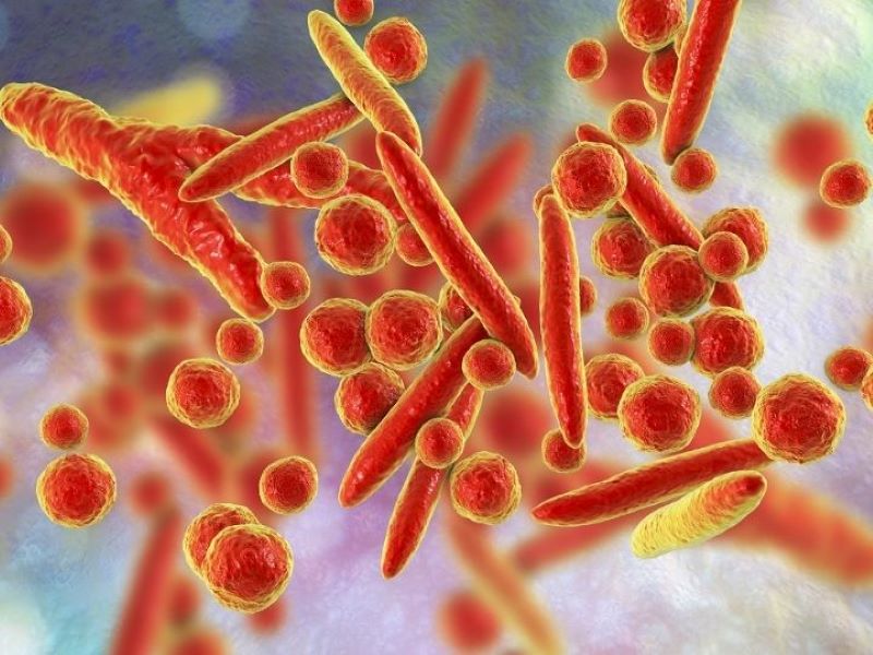 Hàng loạt trẻ viêm phổi Mycoplasma nhập viện, dễ nhầm lẫn với cảm cúm thông thường  - Ảnh 2.