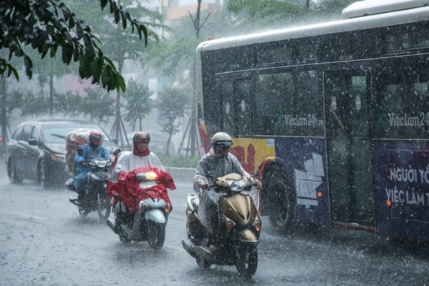 Ảnh minh họa. (Nguồn: Minh Sơn/Vietnam+)