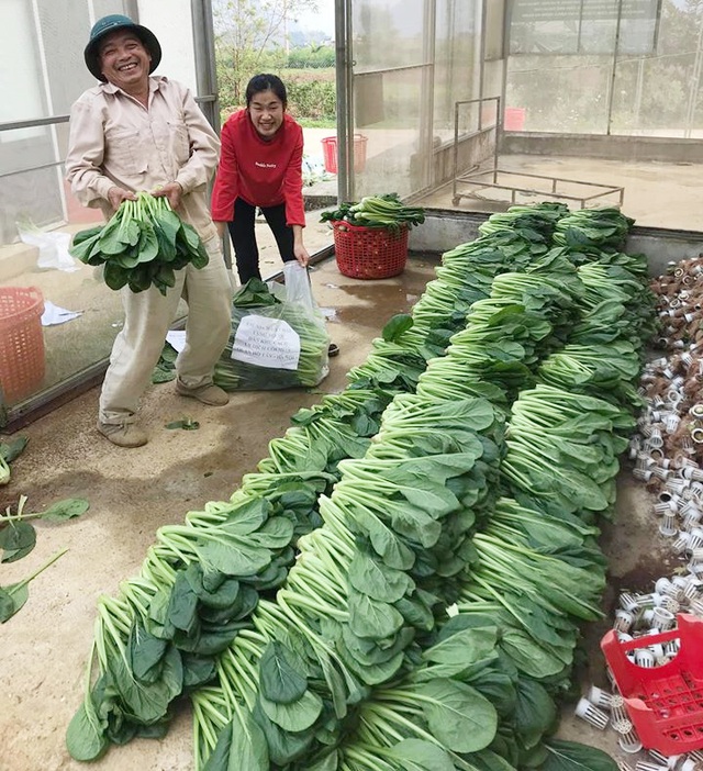   Anh Sơn cho biết, nếu các khu cách ly vẫn cần hỗ trợ lương thực thực phẩm, vụ thu hoạch rau sắp tới, cả gia đình anh sẵn sàng ủng hộ tiếp. “Được đóng góp công sức cùng mọi người chống dịch, tôi và gia đình rất vui và hạnh phúc”, anh Sơn nói.  