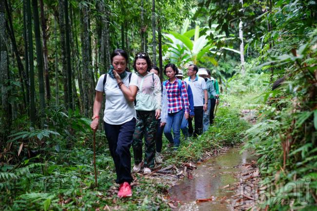 Cung đường trekking này không quá hiểm trở, mọi du khách đều có thể trải nghiệm