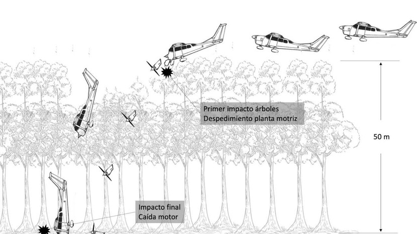 Làm thế nào 4 đứa trẻ có thể sống sót sau một vụ tai nạn máy bay ở Amazon? - Ảnh 2.