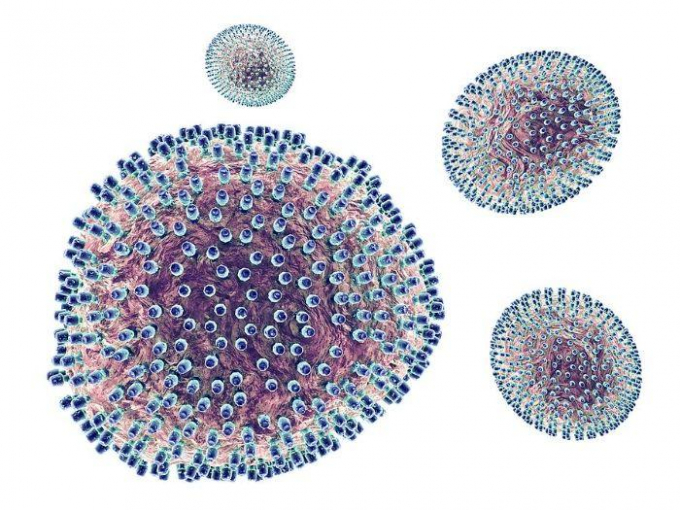 Đây là một loại virus gây ra hiện tượng viêm não. 