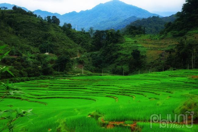 Hoài Khao sở hữu vẻ đẹp nguyên sơ, ít sự can thiệp của bàn tay con người. Khung cảnh yên bình thơ mộng với màu xanh mướt của ruộng bậc thang tháng 8, xen lẫn giữa màu xanh của núi rừng.