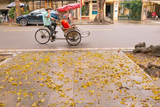 Hà Nội lúc này khoác lên mình một chiếc áo vàng ươm, thơ mộng. (Ảnh: Minh Sơn/Vietnam+)