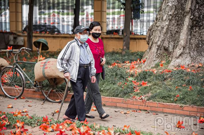 Nhiều người lớn tuổi cũng tìm đến.