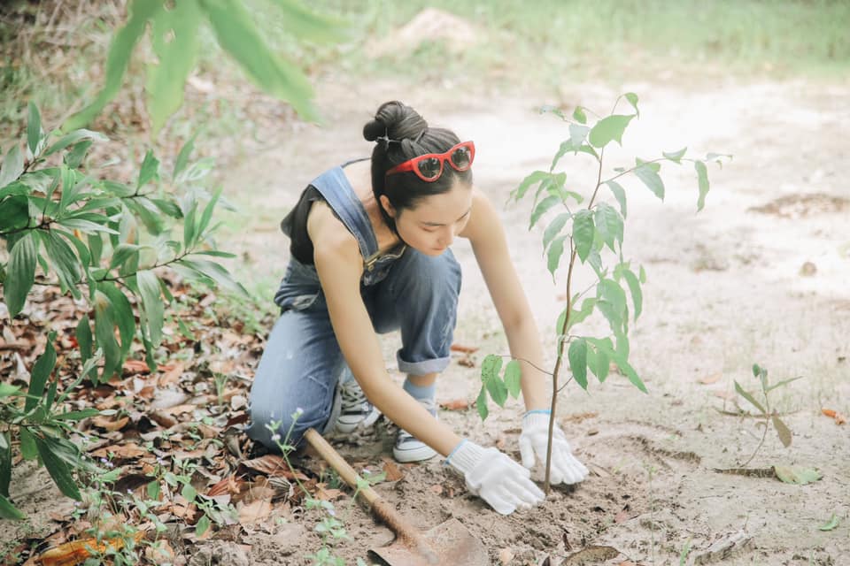 Không chỉ ăn chay, thuyền, Helly Tống còn tham gia khá nhiều hoạt động bảo vệ môi trường.